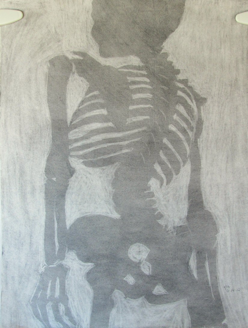 Skeleton Still Life Positive/Negative Space 1