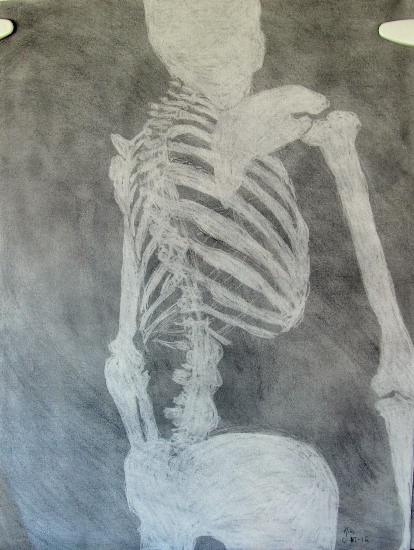 Skeleton Still Life Positive/Negative Space 2